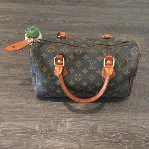 authentic louis vuitton speedy 30